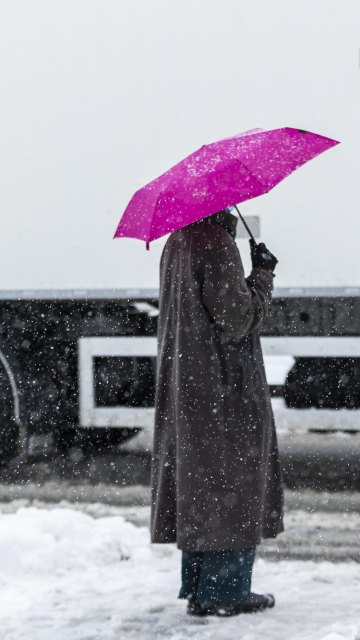Felix Bächli Coaching in Zürich, Schweiz