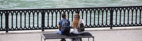 Psychodynamisches Coaching